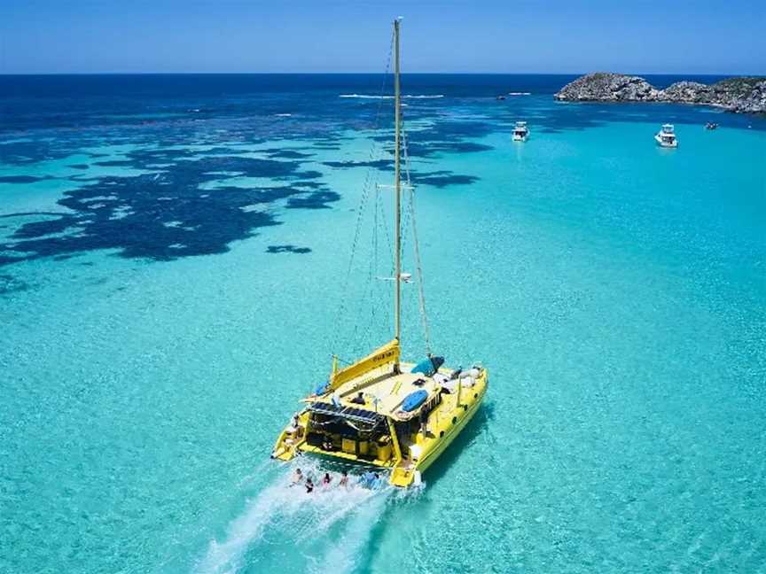 Charter 1 Snorkel & Sailing Tours, Tours in Rottnest Island