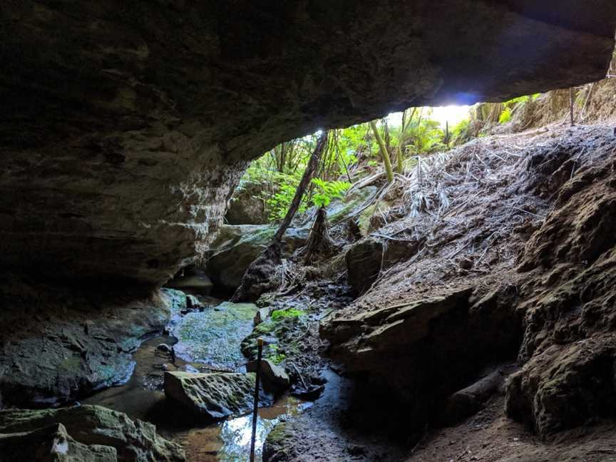 Adventure Waikato, Matira, New Zealand