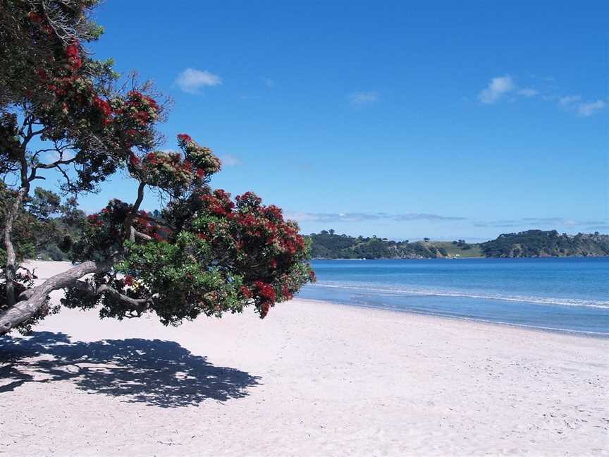 Ananda Tours, Waiheke Island, New Zealand