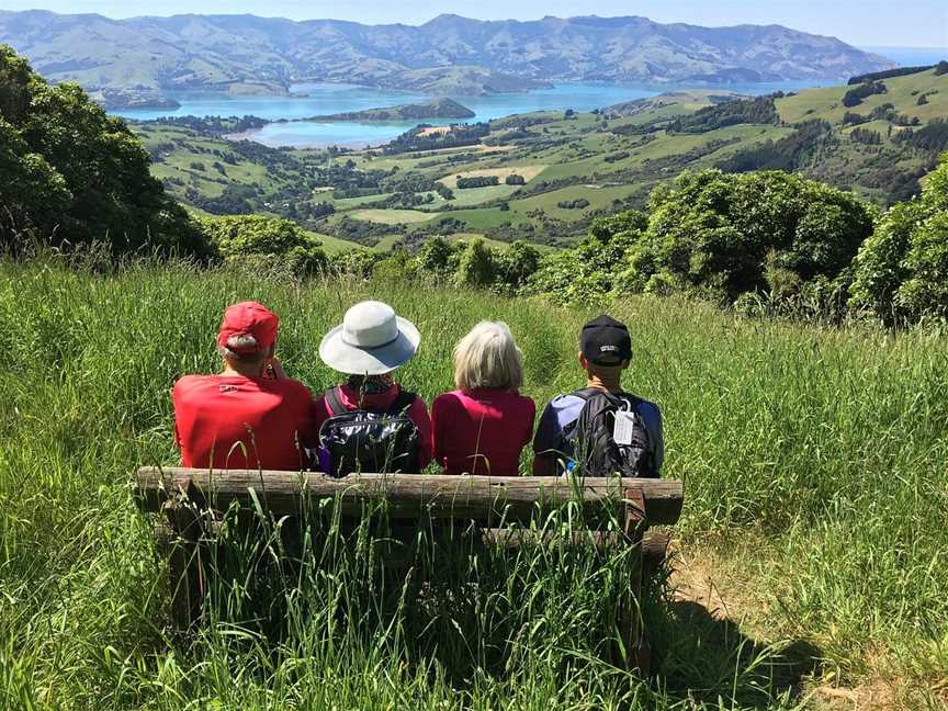 Arahi Tours NZ, Christchurch, New Zealand