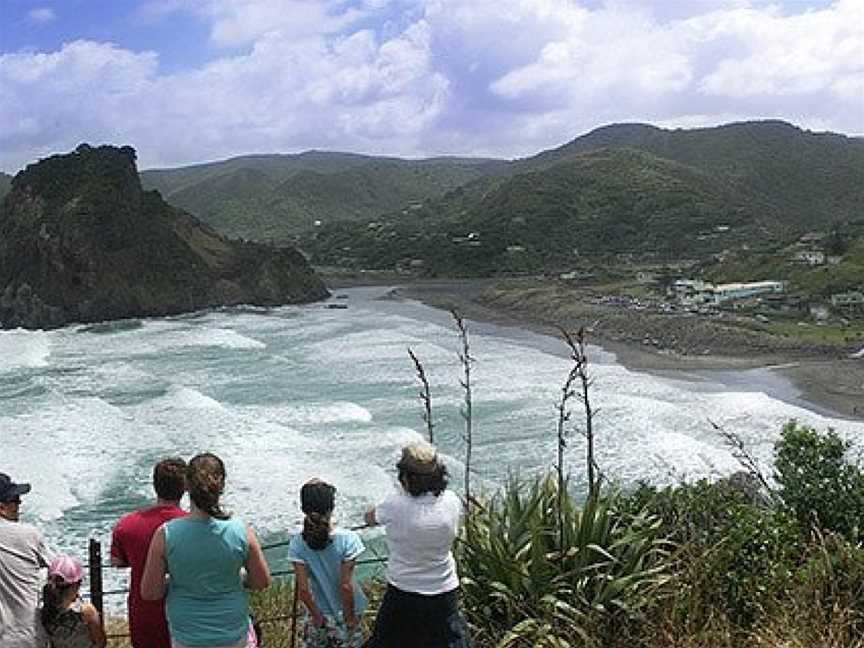 Auckland Scenic Tours, Auckland Central, New Zealand