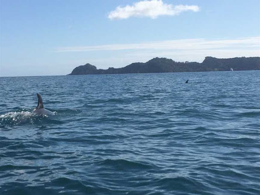 Bay of Islands Kayaking, Paihia, New Zealand