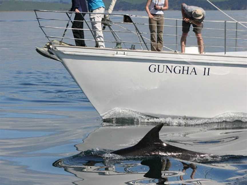 BAY OF ISLANDS SAILING/GUNGHA II, Paihia, New Zealand