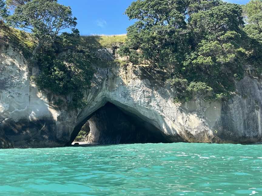 Beyond The Blue , Devonport, New Zealand