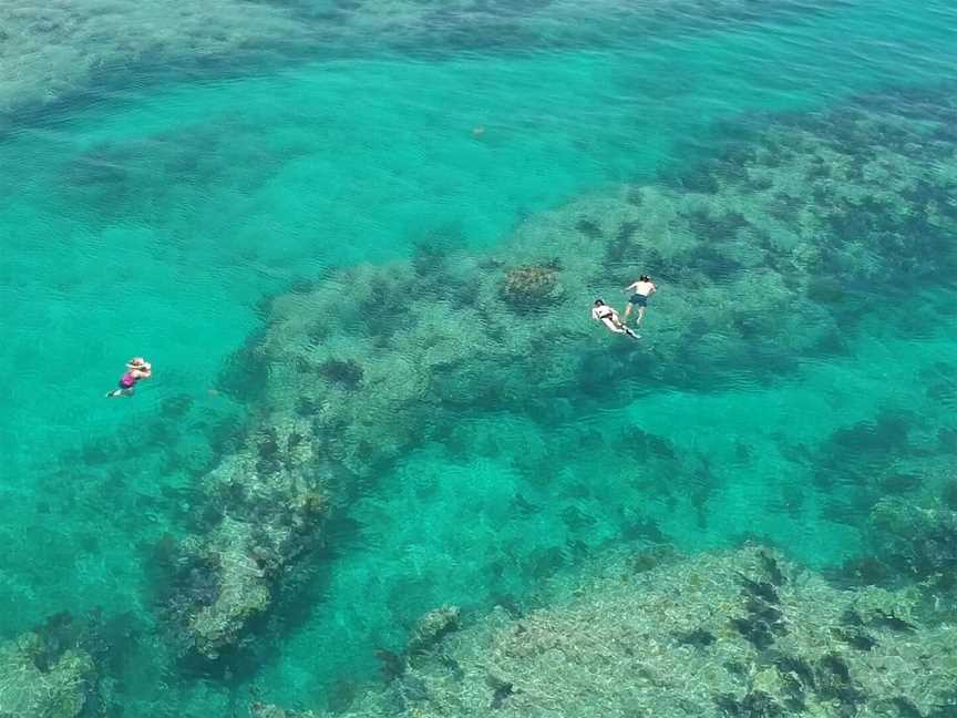 Blue Ocean Charters, Tauranga, New Zealand