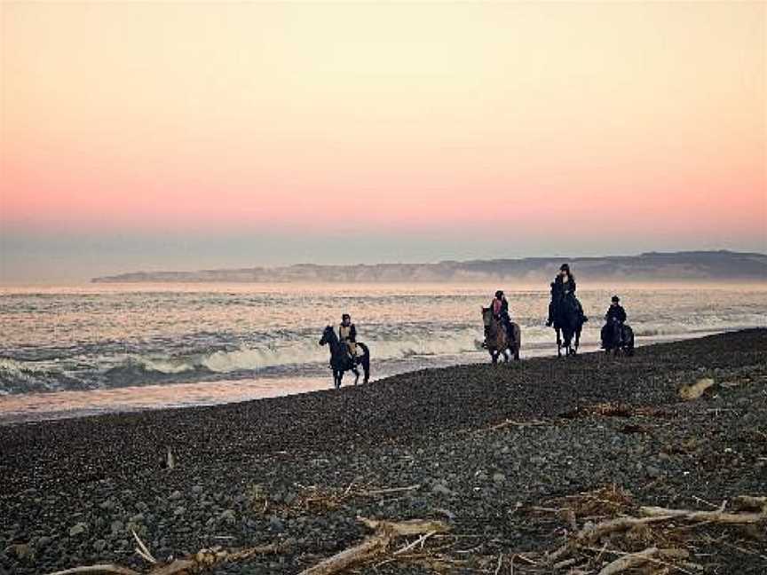 Boutique Horsetreks, Clive, New Zealand