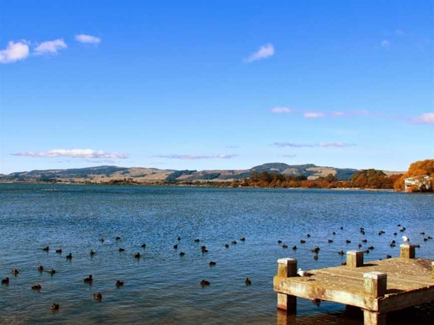 Carlton Tours, Mount Maunganui, New Zealand