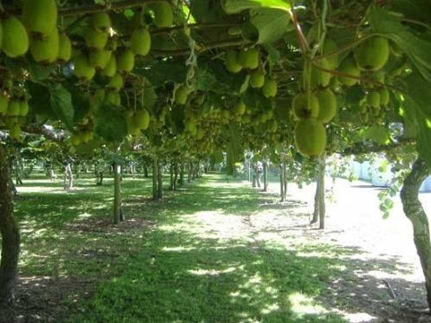 Carlton Tours, Mount Maunganui, New Zealand