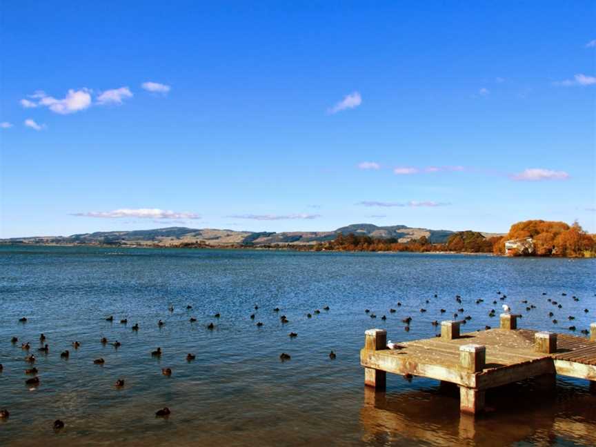 Carlton Tours, Mount Maunganui, New Zealand