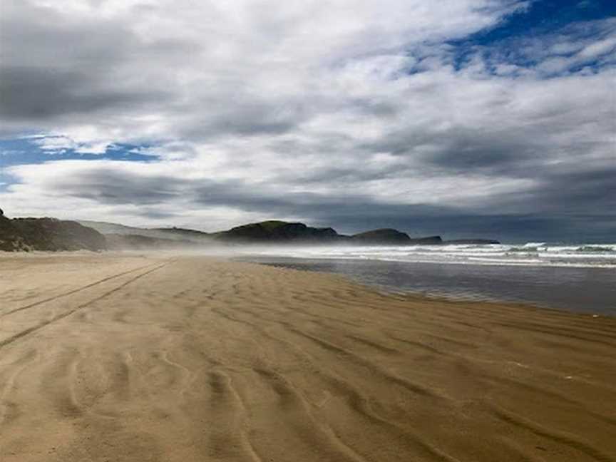 Catlins Scenic & Wildlife Tours, Benhar, New Zealand