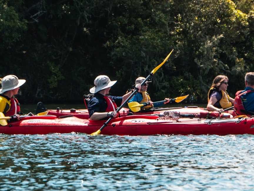 Waimarino Kayak Tours, Tauranga, New Zealand