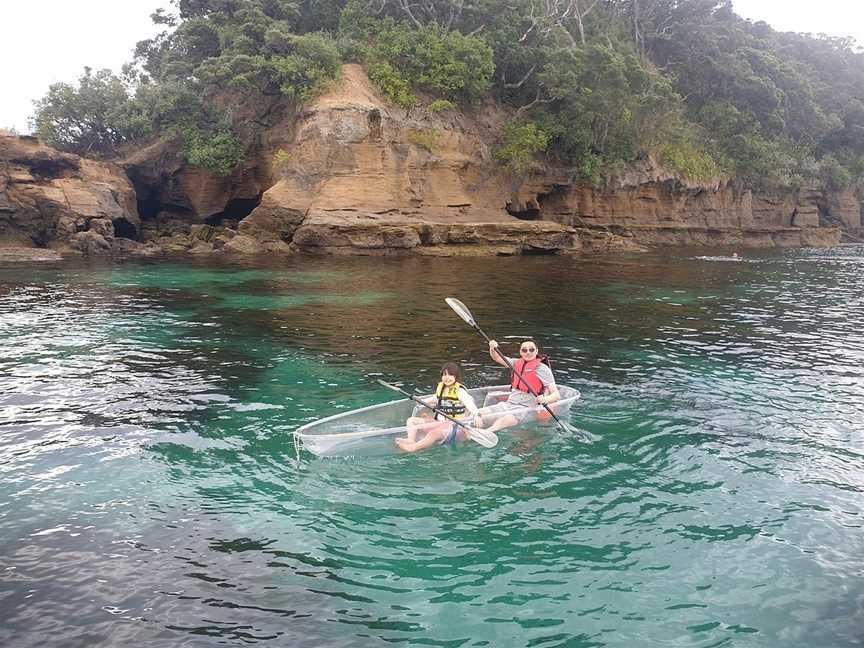 Clearyak, Leigh, New Zealand