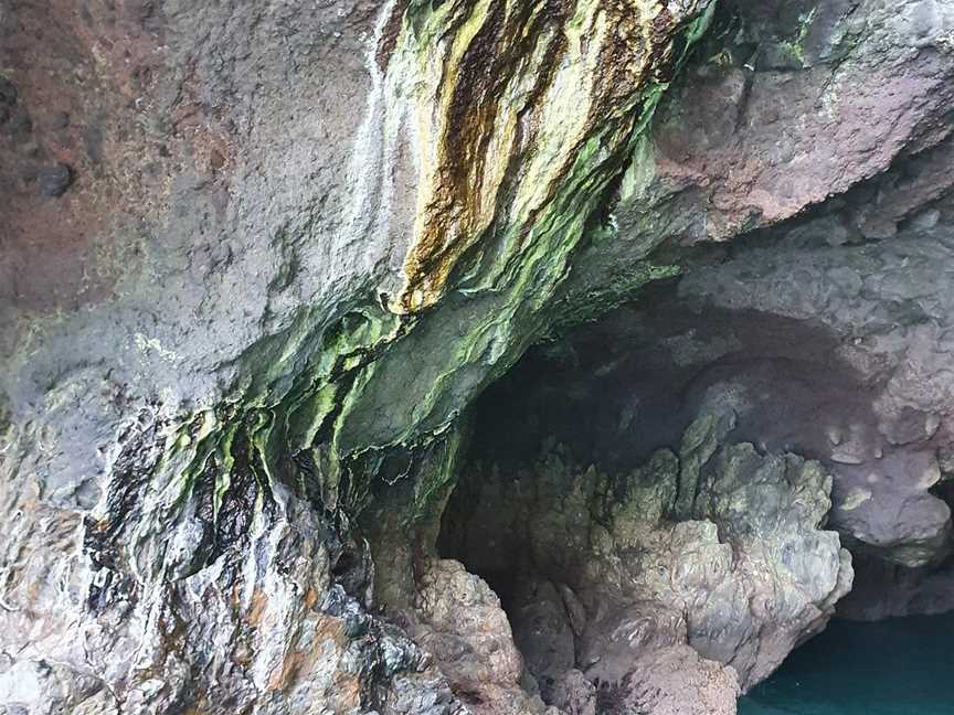 Coast up Close Scenic Tours, Akaroa, New Zealand