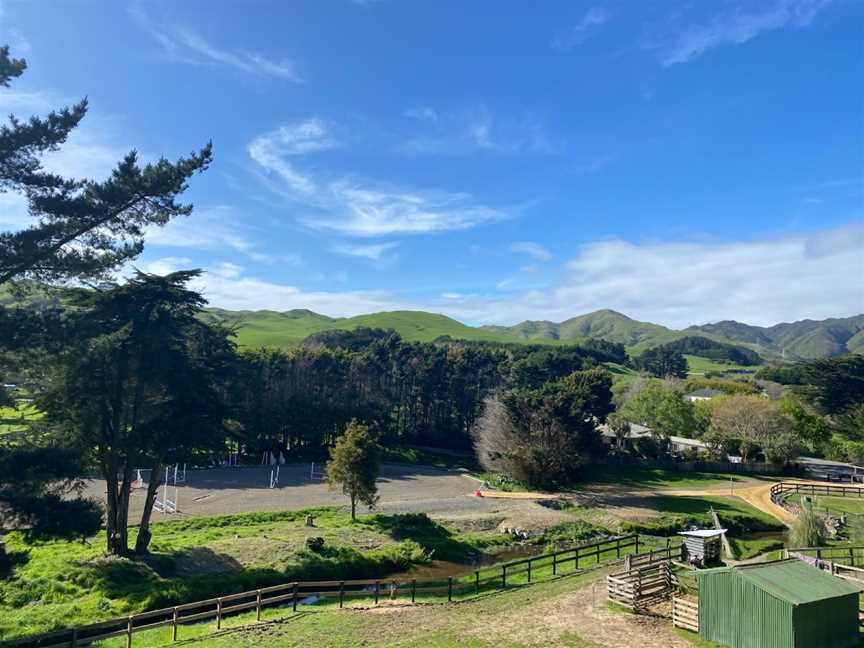 Cleveland Stables, Ohariu, New Zealand