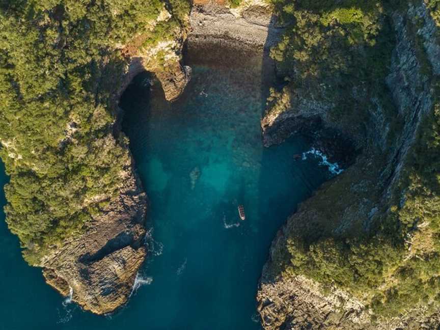 Coromandel Ocean Adventures, Tairua, New Zealand