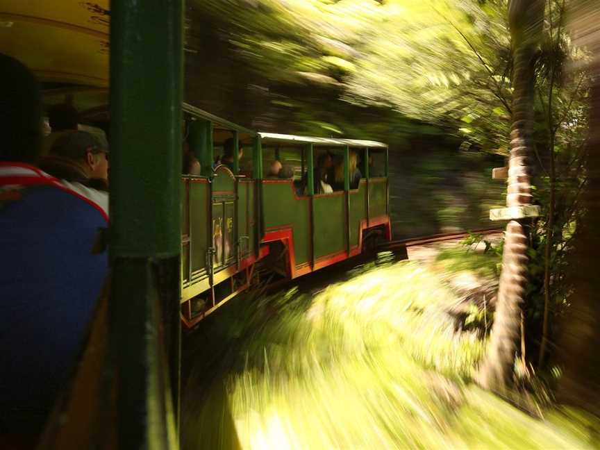 Driving Creek Conservation Tours, Coromandel, New Zealand