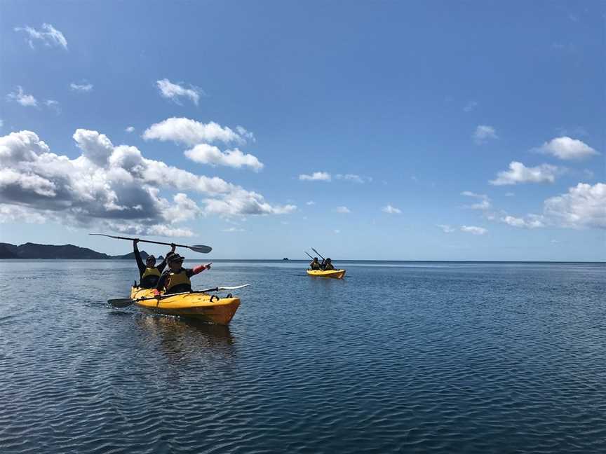 Coromandel Sea Kayaks, Whitianga, New Zealand