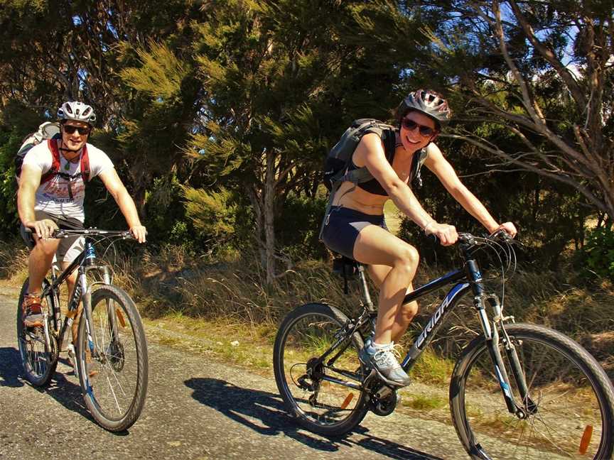 Cycle Remutaka, Days Bay, New Zealand