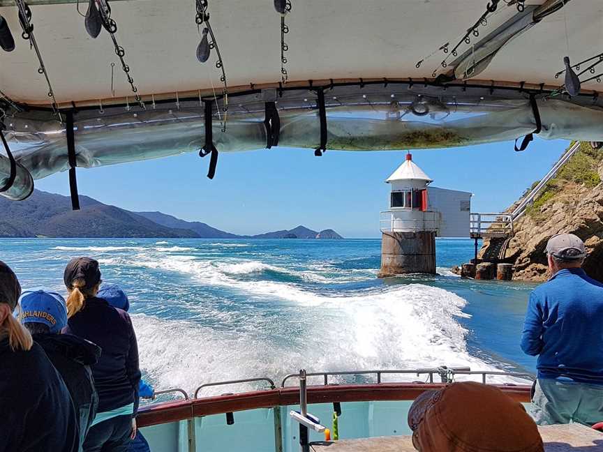 Driftwood Eco-Tours, Kaikoura, New Zealand