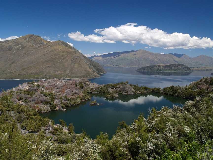 Eco Wanaka Adventures, Wanaka, New Zealand