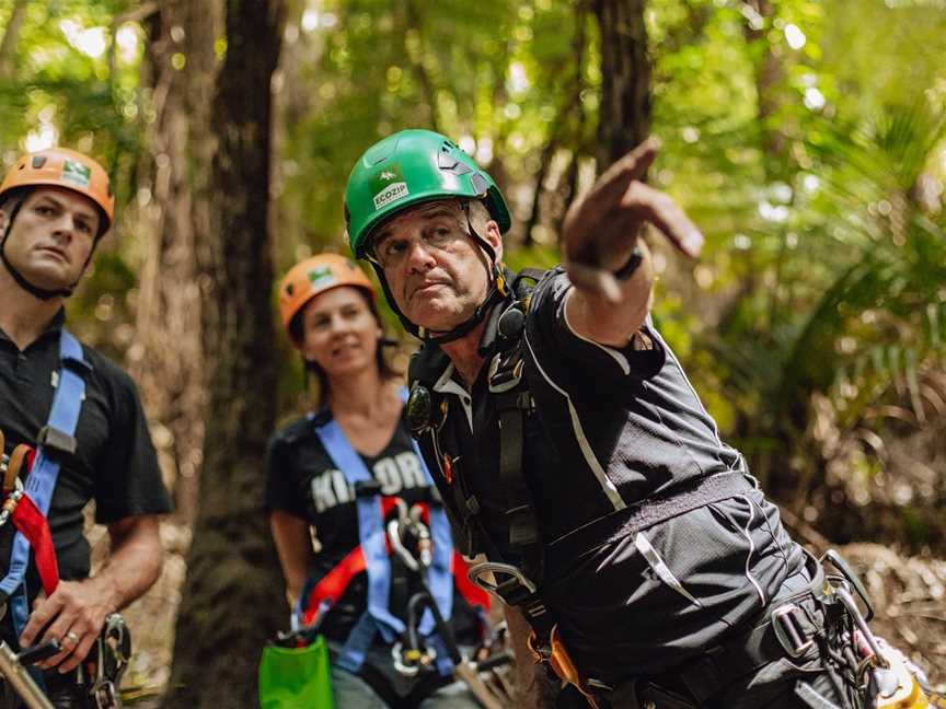 EcoZip Adventures, Oneroa, New Zealand