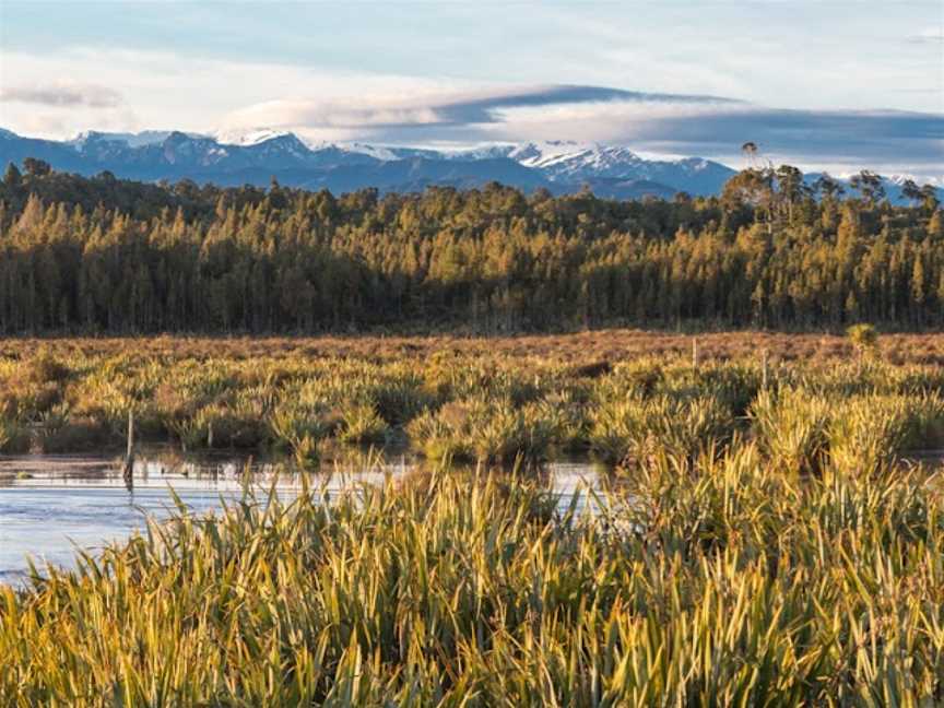 Eco Boat Tour, Fergusons, New Zealand