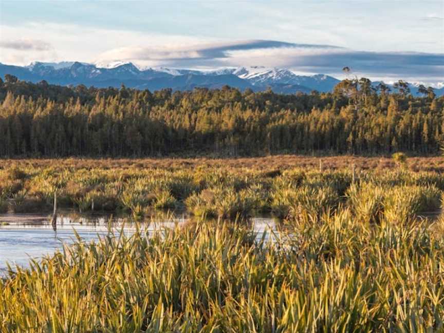 Eco Boat Tour, Fergusons, New Zealand