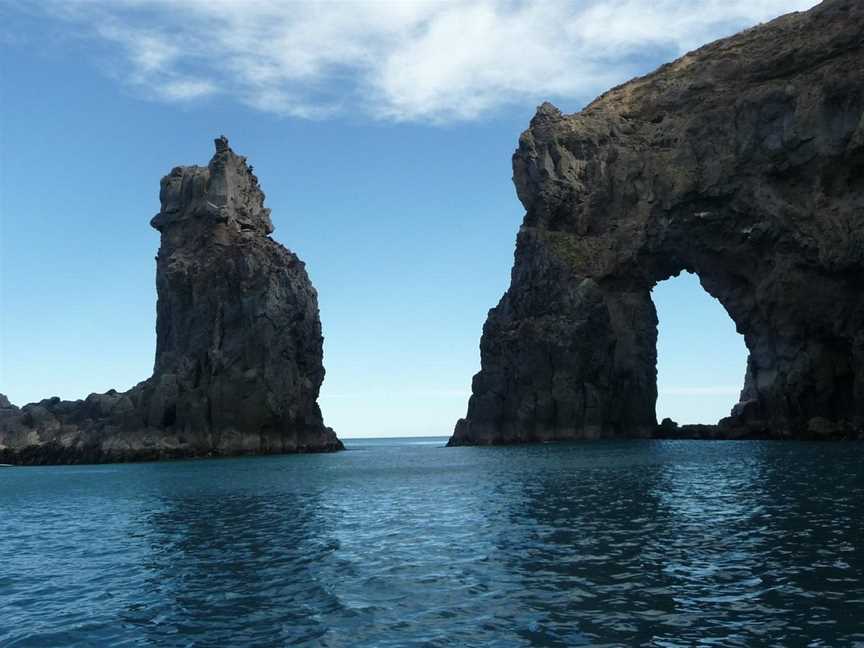 Ecoseaker - Dolphin Swimming & Harbour Adventure Cruises, Akaroa, New Zealand