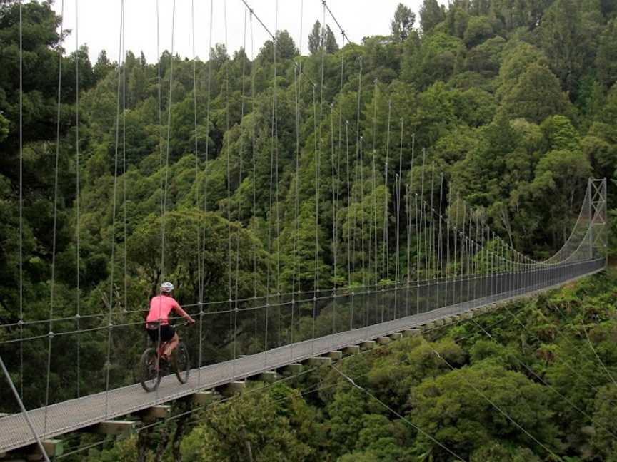 Epic Timber Trail Shuttles & Bike Hire, Ongarue, New Zealand