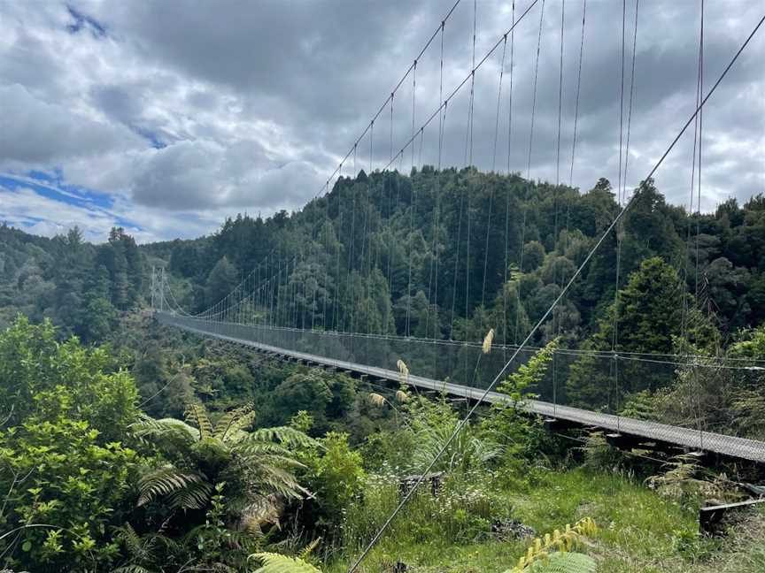 Epic Timber Trail Shuttles & Bike Hire, Ongarue, New Zealand