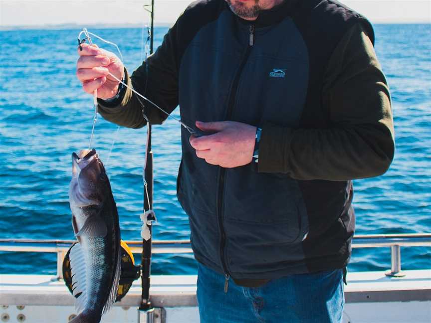 Ezifish Charters, Dunedin, New Zealand