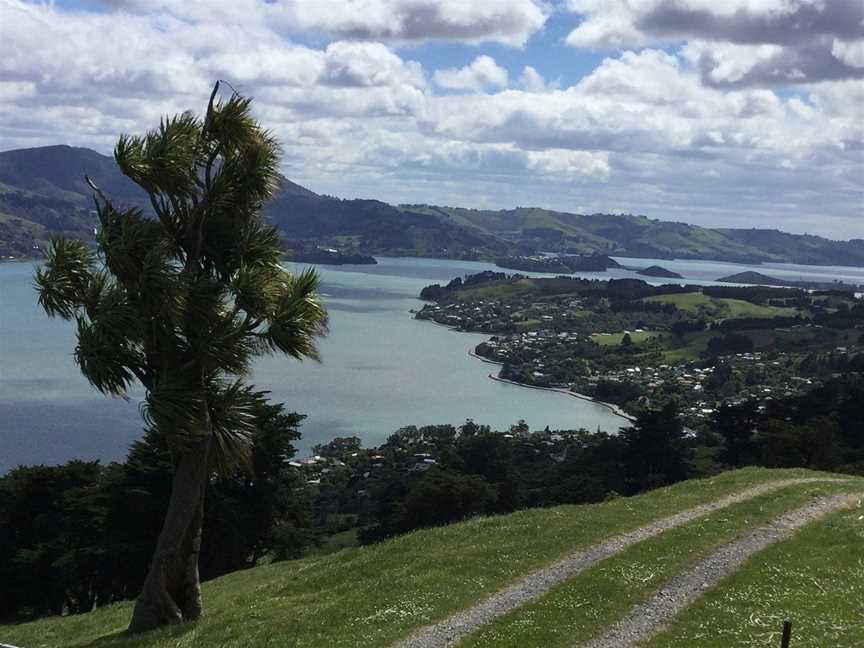 Fantail Tours, Dunedin NZ, Dunedin, New Zealand