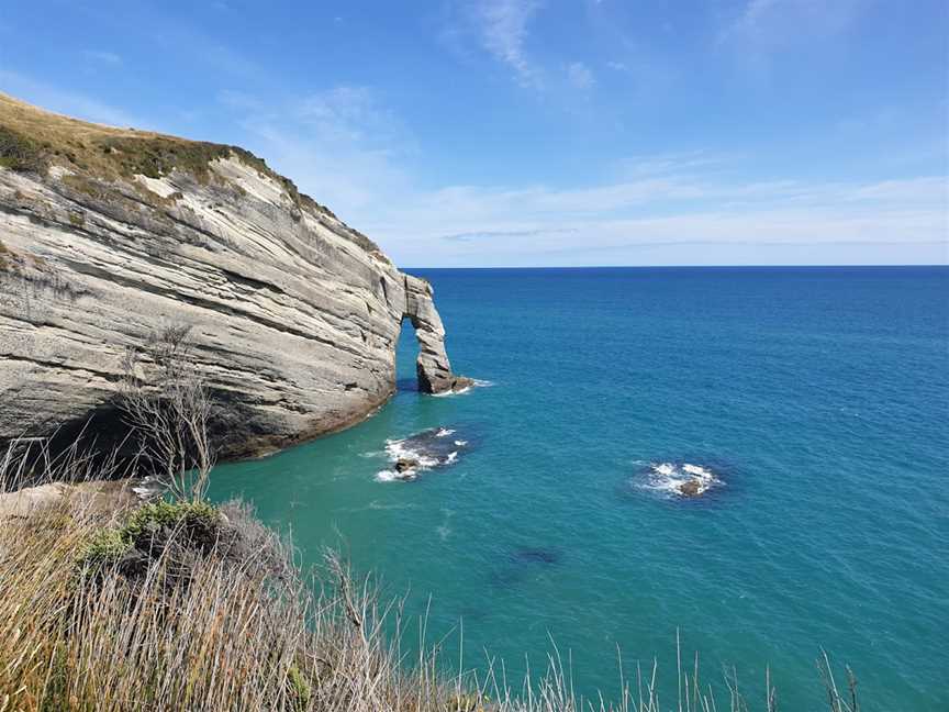 Farewell Spit Eco Tours, Collingwood, New Zealand