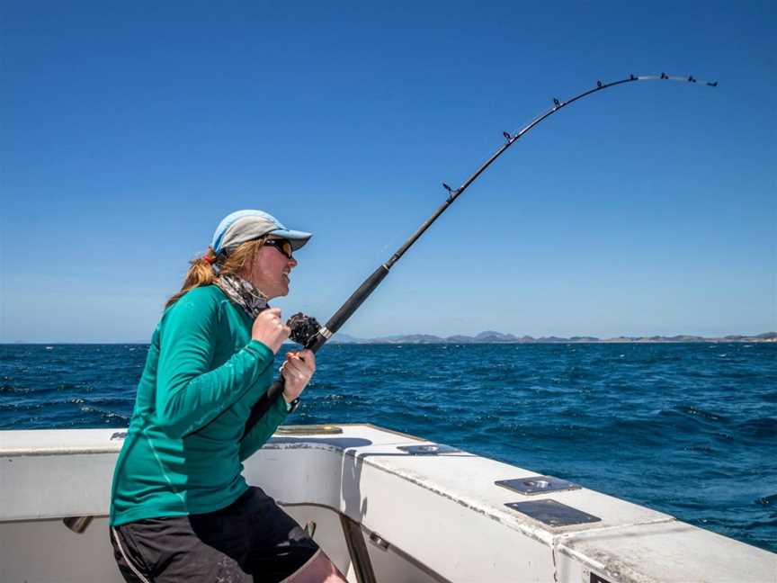 Fish Tutukaka, Tutukaka, New Zealand