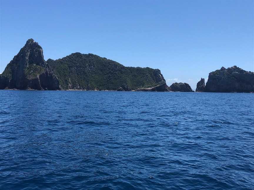 FishOn Charters, Whangamata, New Zealand