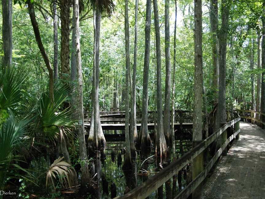 Foris Eco-Tours, Rotorua, New Zealand