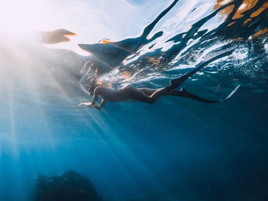 Freedive Aotearoa, Tutukaka, New Zealand