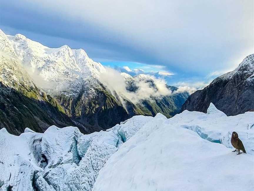 Franz Josef Glacier Guides, Fergusons, New Zealand