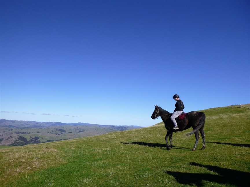 Gladstone horse treks, Flat Point, New Zealand