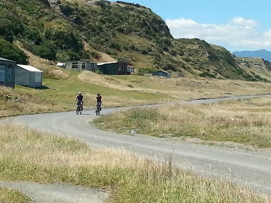 Green Jersey Cycle Tours and Bicycle Hire, Martinborough, New Zealand