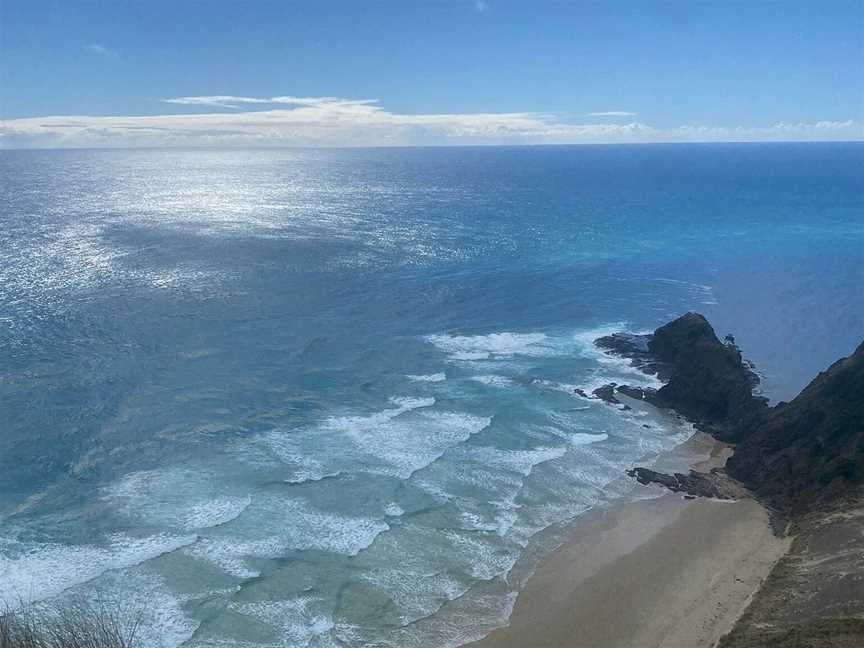 Harrisons Cape Runner, Kaitaia, New Zealand