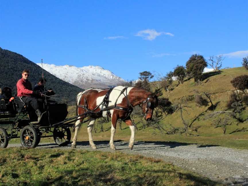 High Country Horses, Glenorchy, New Zealand