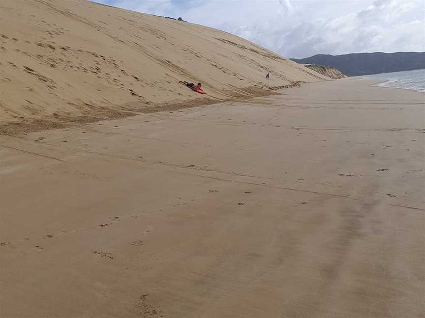 Hokianga Express Charters, Omapere, New Zealand