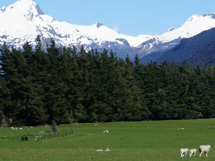 Kakariki AviTours, Point Chevalier, New Zealand