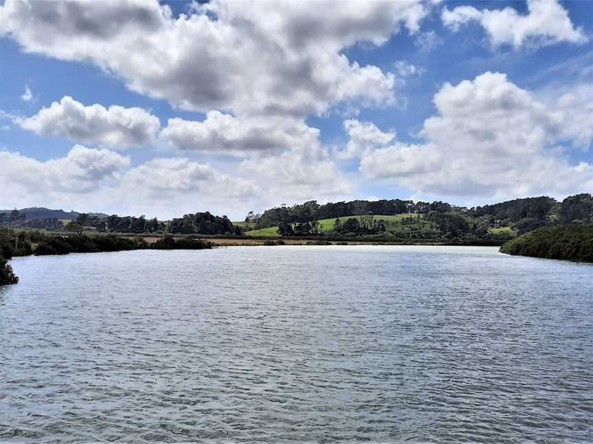 Kaipara Cruise, Helensville, New Zealand