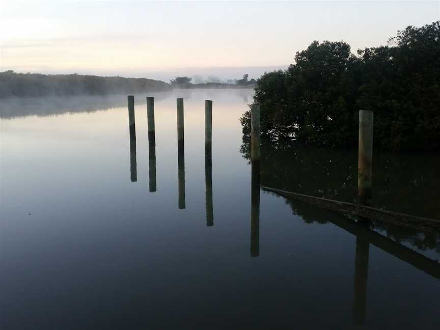 Kaipara Cruise, Helensville, New Zealand