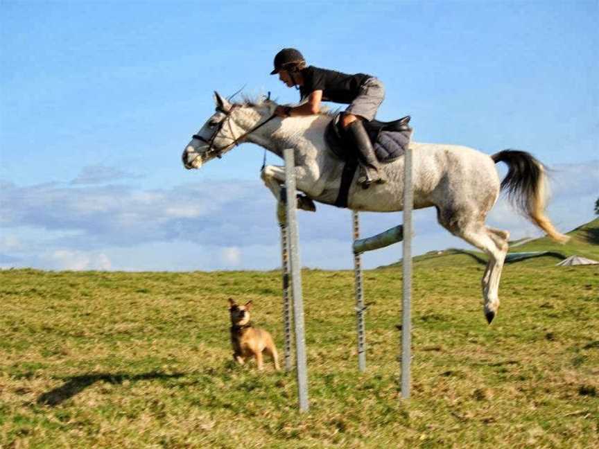 Kates Riding Centre, Kerikeri, New Zealand