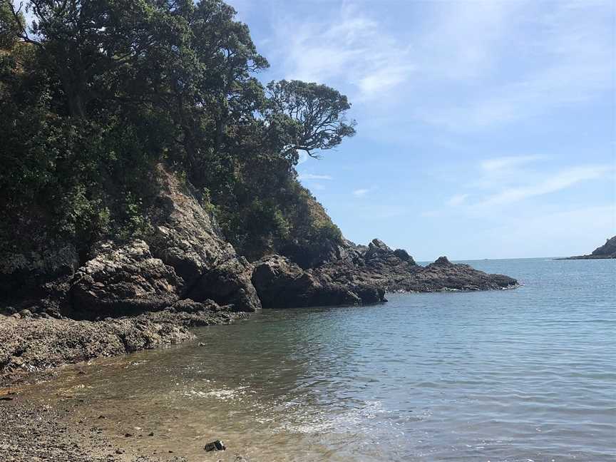 Kayak Waiheke, Oneroa, New Zealand