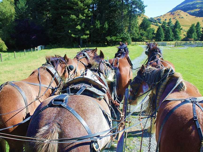 Maossie Tours, Christchurch, New Zealand