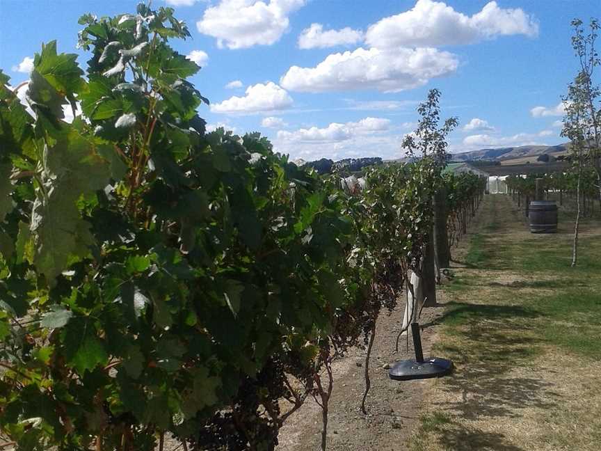 Martinborough Wine Tours, Martinborough, New Zealand